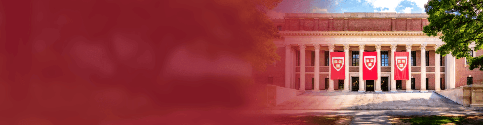 Harvard Manage Mentor